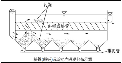 斜管沉淀池內污泥分布圖